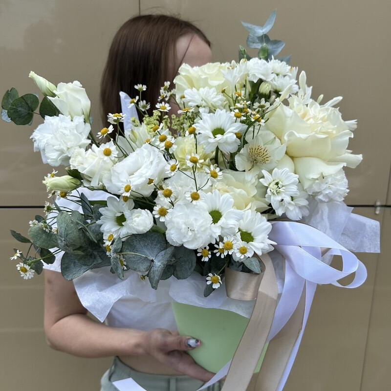 Белый лебедь , стандартный