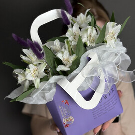 Al_stromerii v sumke