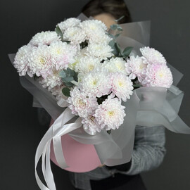 Хризантема в коробке 