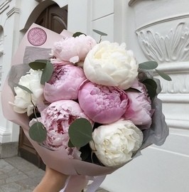 9 пионов розовых голландских