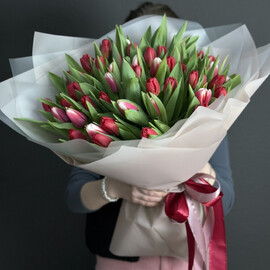 51 тюльпан в оформлении 