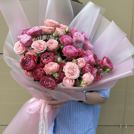 Кустовые розы малиновые 