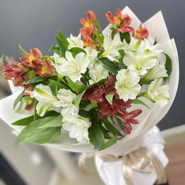 Альстромерии