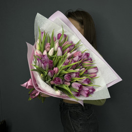 51 бархатный тюльпан