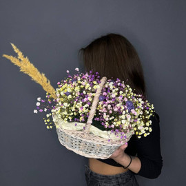 Гипсофила бар себет