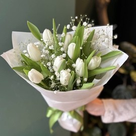 Белые тюльпаны