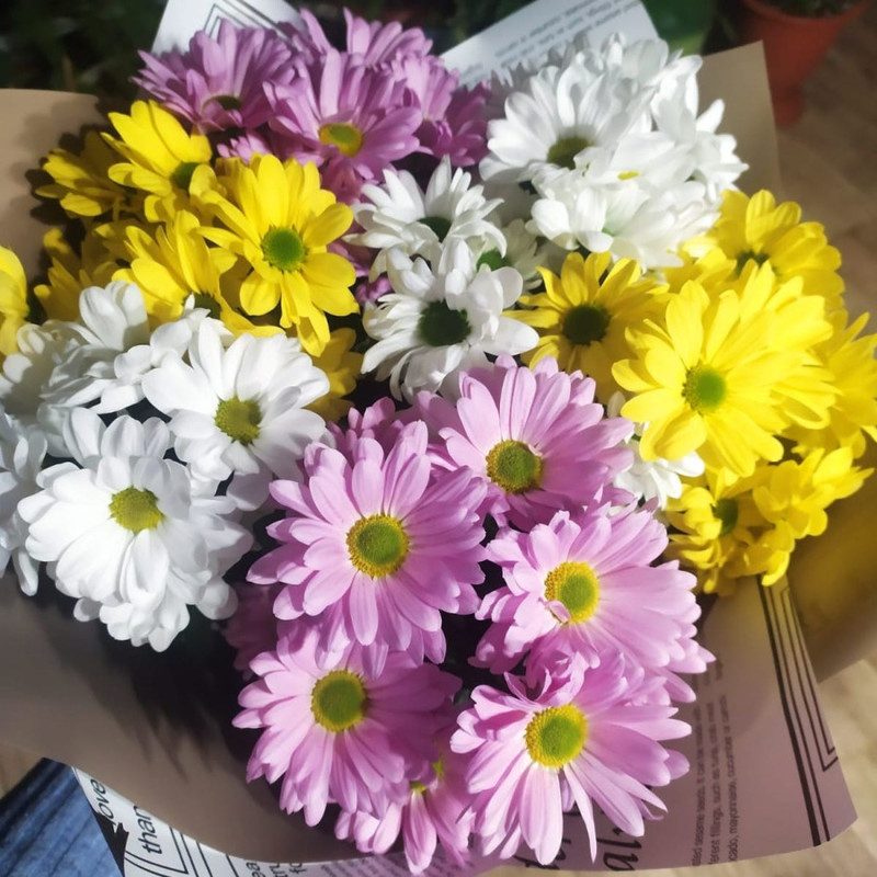 Микс из хризантем, стандартный