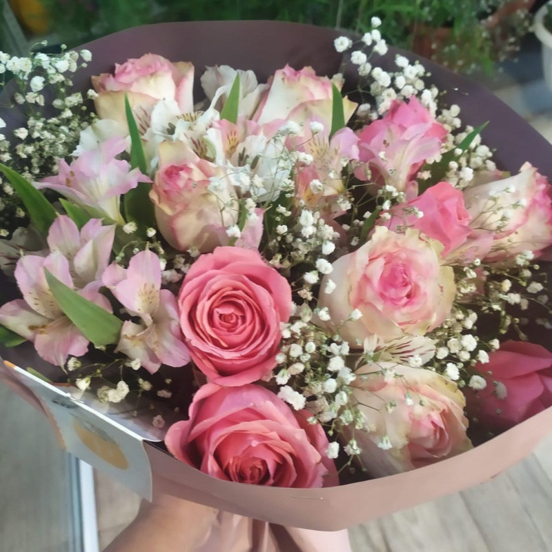 Брызги шампанского, стандартный