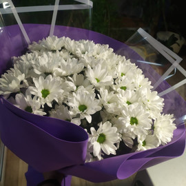 Ромашковое счастье