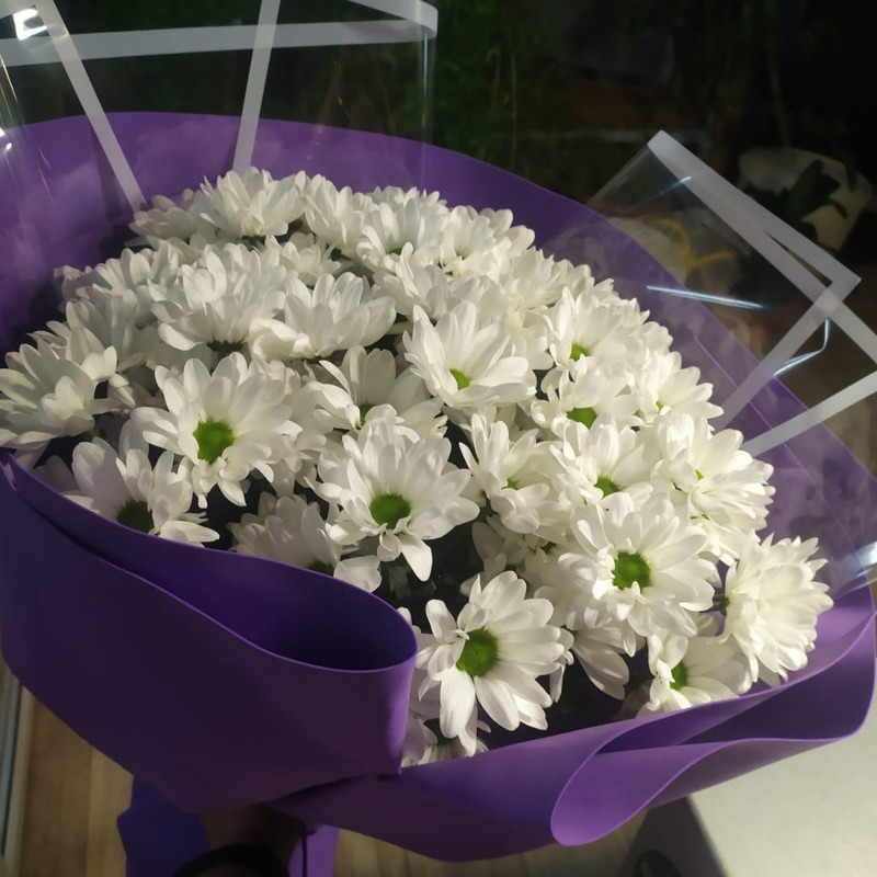 Ромашковое счастье, стандартный