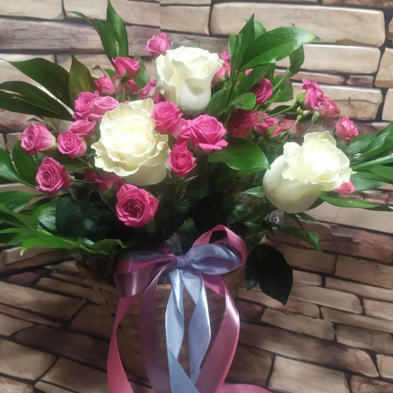 Аура, стандартный