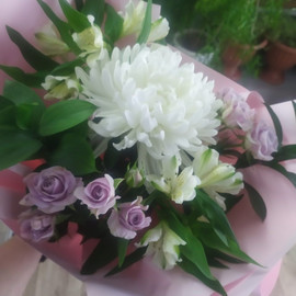 Нежный привет