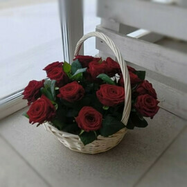 Элегантная