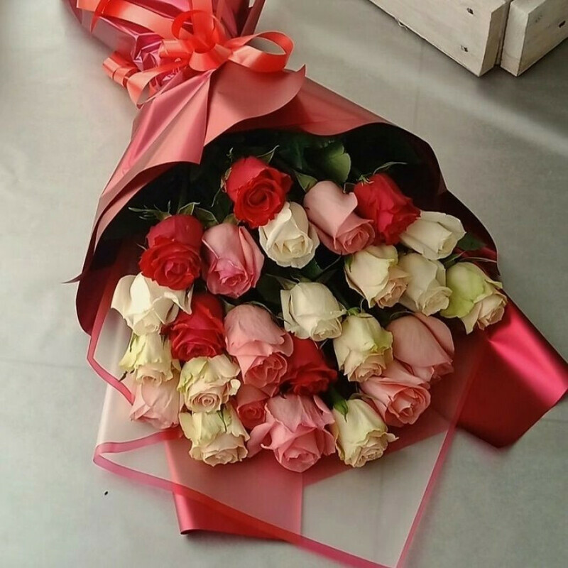 Elegantnij, standart