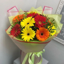 Яркие герберы