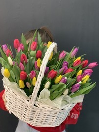 51 тюльпан в корзине