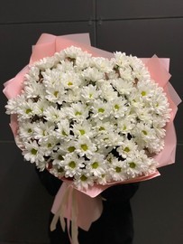 Romashkovidnie hrizantemi