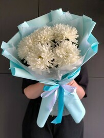 5 одноголовых хризантем