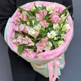 Nezhnie al_stromerii