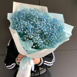 голубая гипсофила