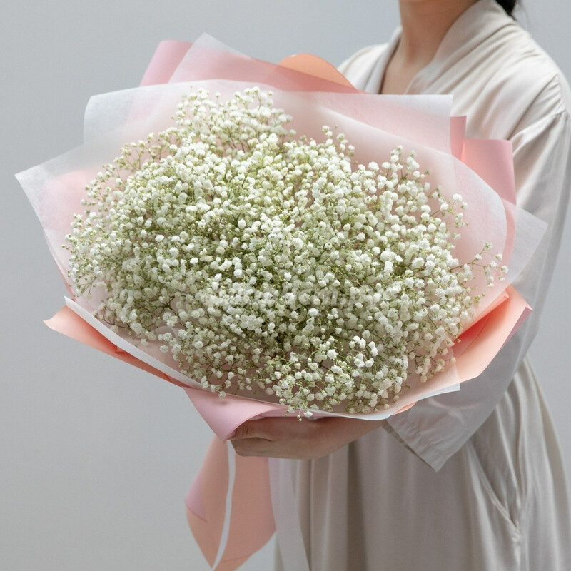 Нежная Белоснежная Гипсофила, стандартный