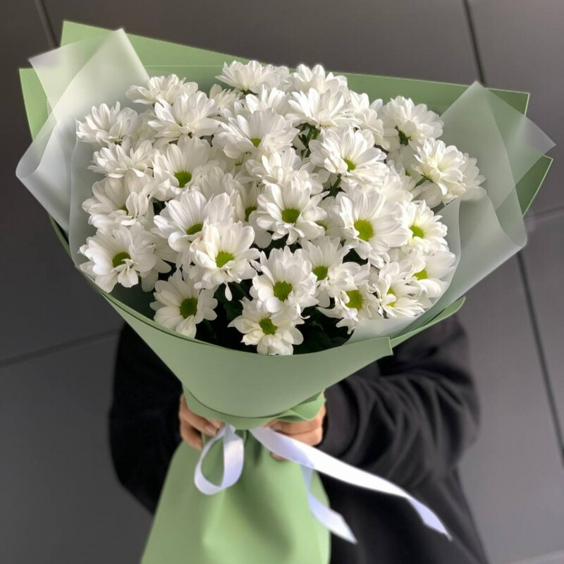 Buket iz 7 hrizantem, standart