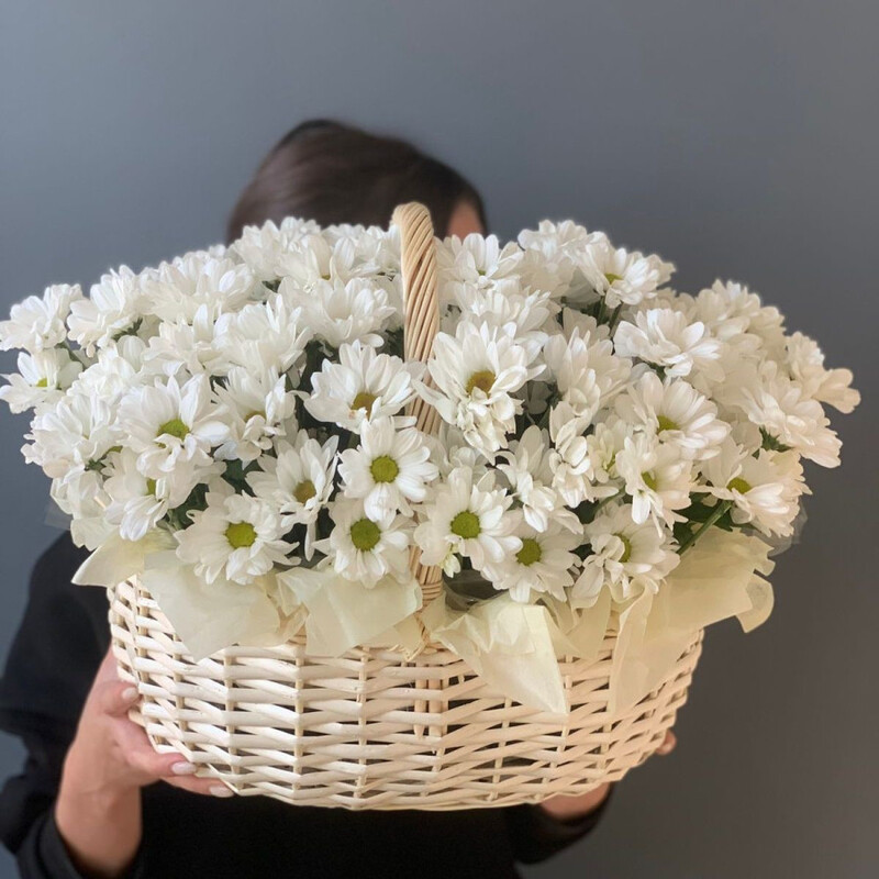 Chrysanthemum in a basket, standart