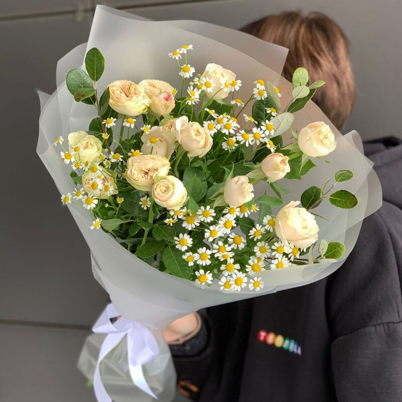 Hello, Spring!, standart