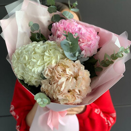 Гортензии микс