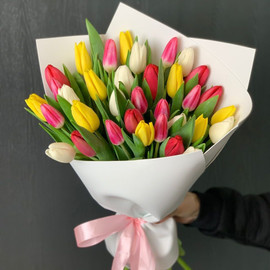 Көктемгі отшашу