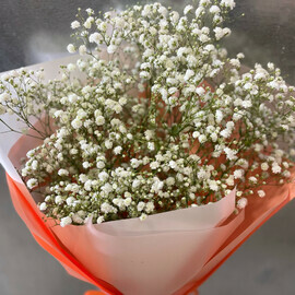 Легкая невесомость