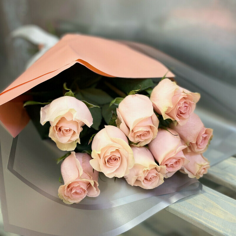 Vanil_noe nebo, standart