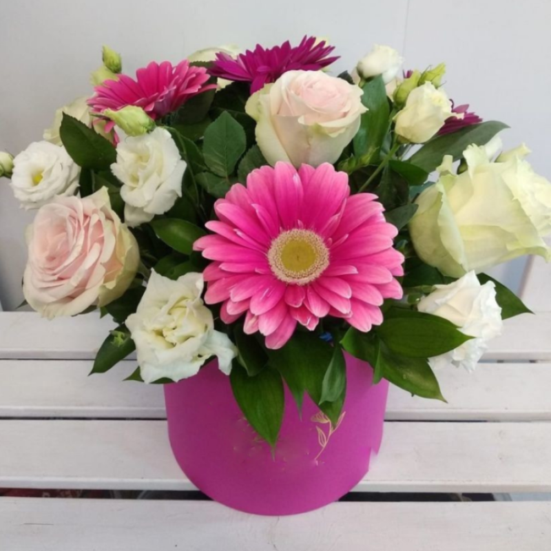 Priyatnij syurpriz, standart