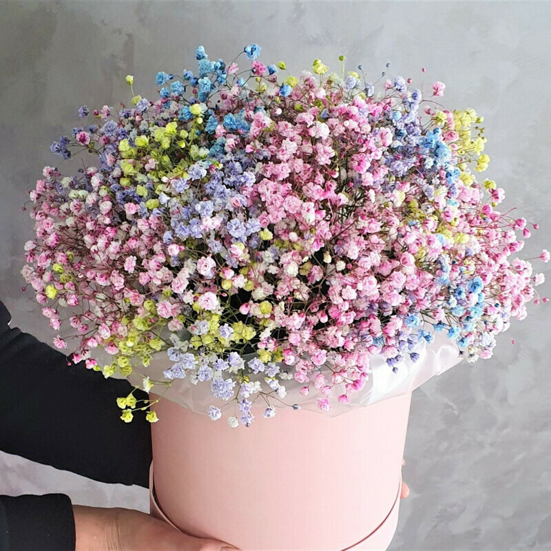 Капли росы, стандартный