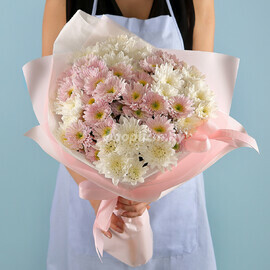 Trepetnie Hrizantemi