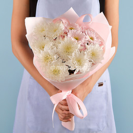 Trepetnie Hrizantemi