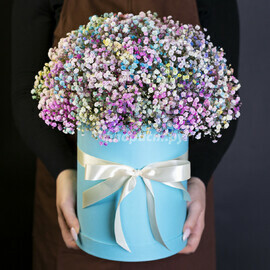 Korobka s Raduzhnoj Gipsofiloj