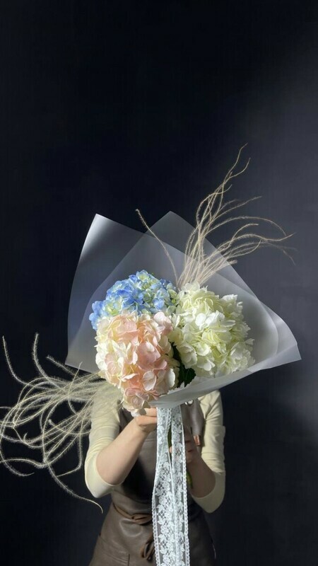 3 гортензии микс, 3 гортензии микс