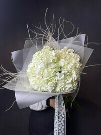 7 белых гортензий