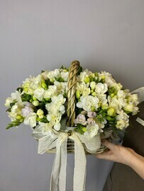 Белая фрезия в корзине