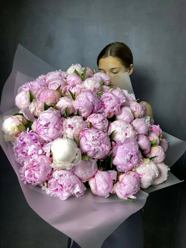 51 розовый пион, 51 розовый пион