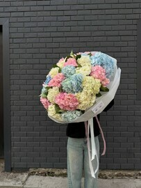 25 гортензий микс в оформлении