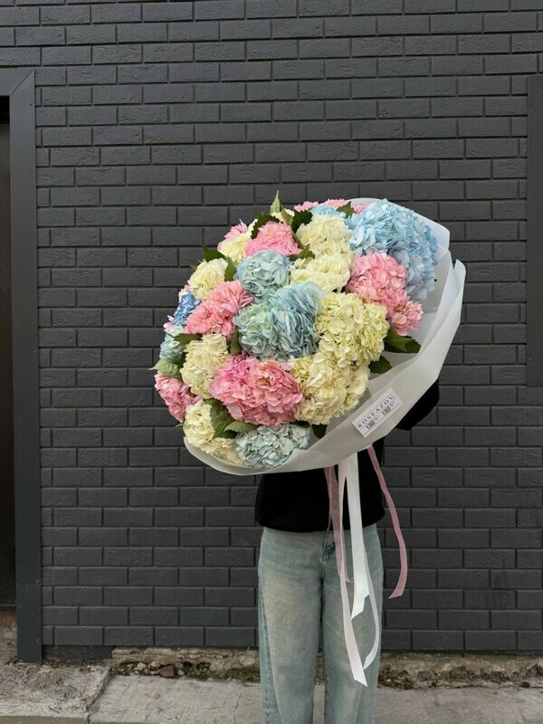 25 гортензий микс в оформлении, 25 гортензий микс в оформлении