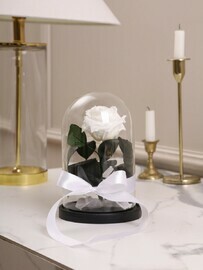 Roza v kolbe M belaya