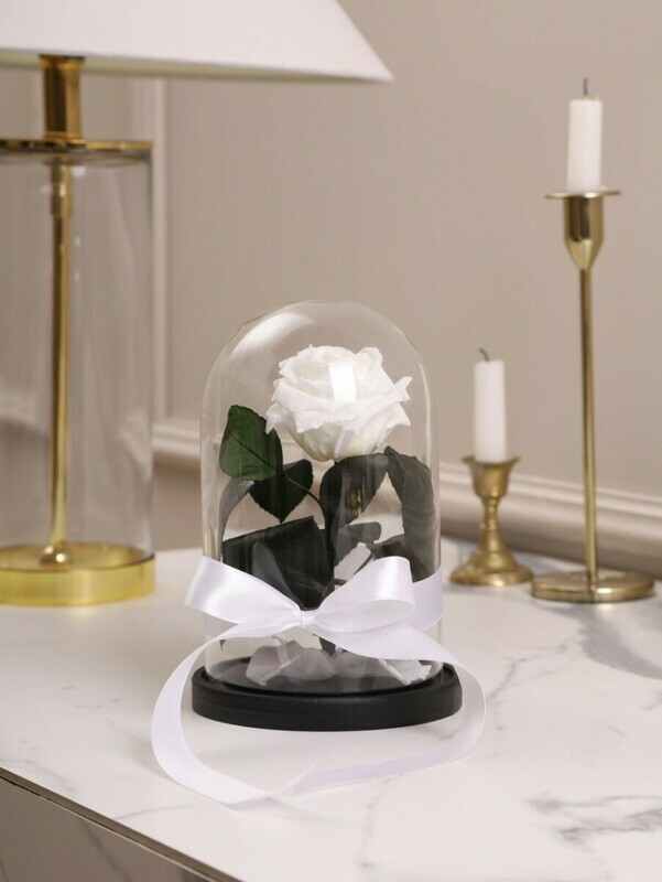 Роза в колбе М белая, роза в колбе м белая