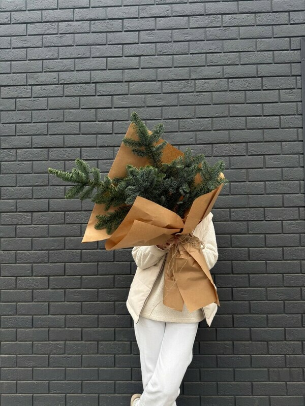 Нобилис, нобилис