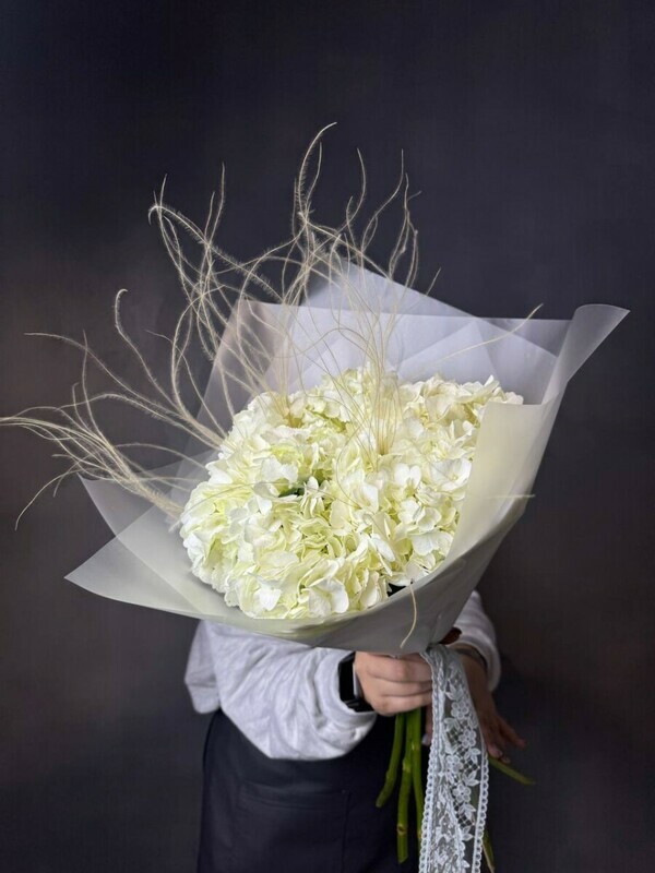 5 белых гортензий, 3 белых гортензии