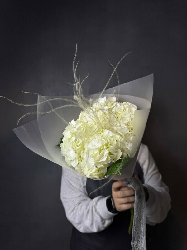 3 белых гортензии, 3 белых гортензии