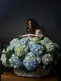 Корзина голубой гортензии