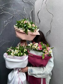 Buket raznotcvetnoj al_stromerii